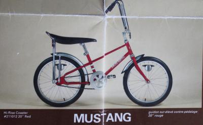 ccm_mustang_1981.jpg