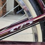 Douglas Hulse bike image