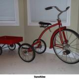 Mark McGuire bike image