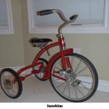 Mark McGuire bike image