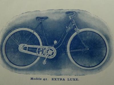 ccm1901cat10.jpg
