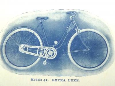 ccm1901cat10b.jpg
