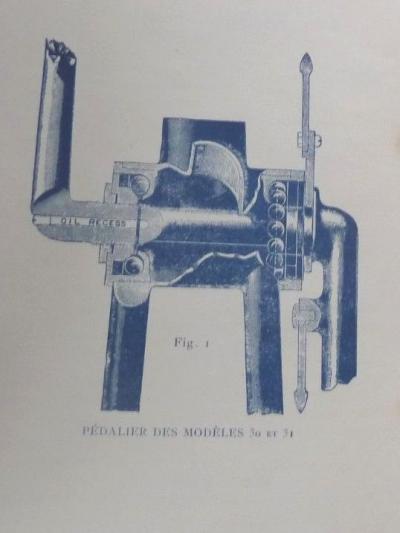 ccm1901cat2.jpg