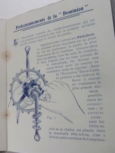 ccm1901cat2b.jpg
