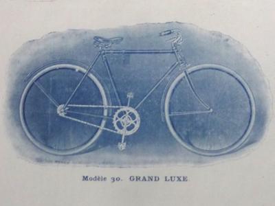 ccm1901cat4.jpg