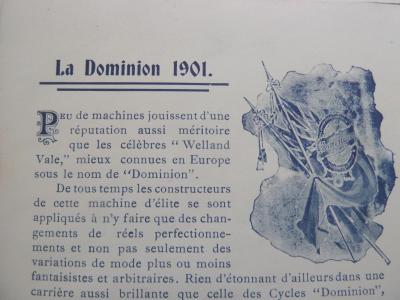 ccm1901cat7.jpg