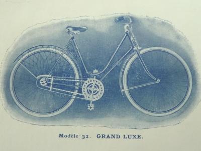 ccm1901cat8.jpg
