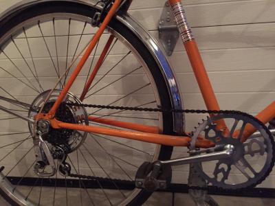 ccm_orange_4.jpg