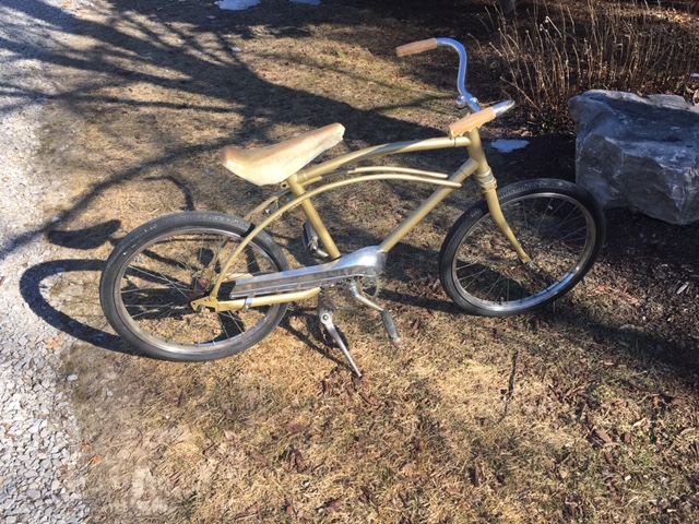 Ccm bicycle models 2025